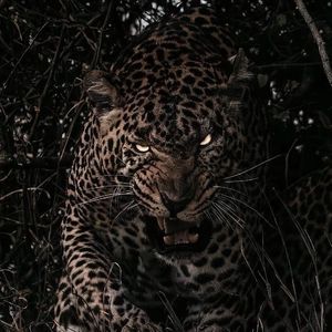 1大阴茎操13少女
