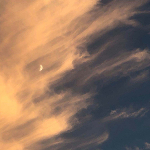 1大阴茎操13少女
